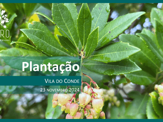 CONVITE | Vila do Conde | 23 novembro 2024