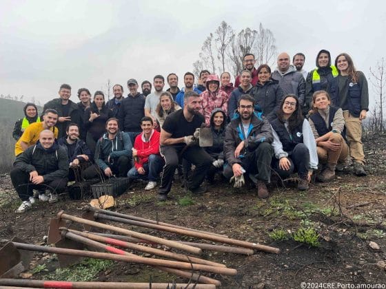 Critical TechWorks reforça o combate às invasoras e a plantação de espécies nativas