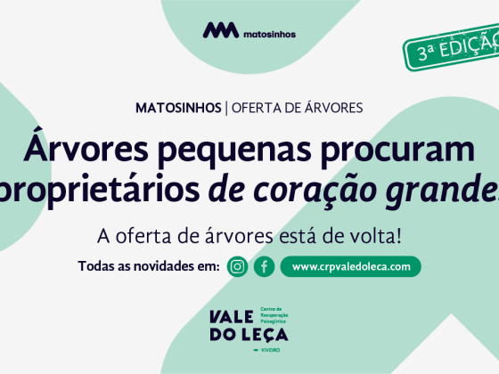 Câmara Municipal de Matosinhos oferece árvores nativas aos seus munícipes