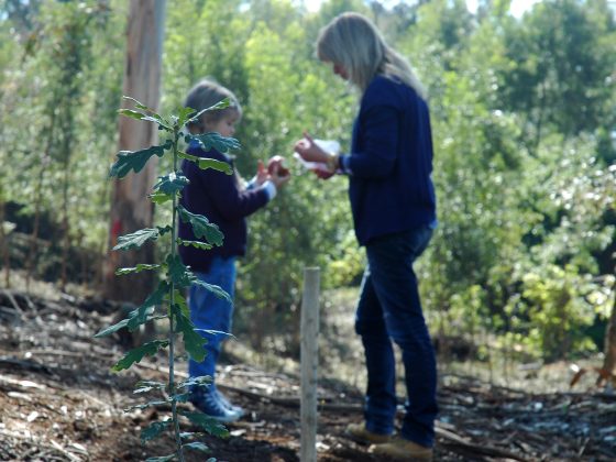 Estágio Profissional IEFP com o CRE.Porto: candidaturas até 27 de janeiro 2025