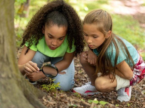 Projeto NSA regressa com a 8ª edição para levar a aprendizagem à Natureza