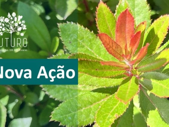 CONVITE | Gondomar | 17, 20, 23 e 31 janeiro 2026