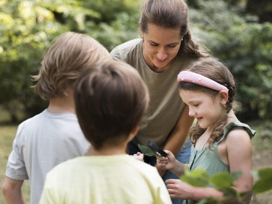 Projeto NSA: Webinar explora diferentes estratégias para levar o 1º Ciclo para “fora de portas”