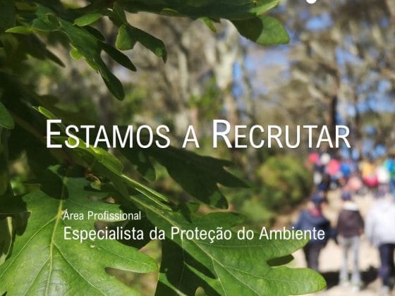 Estágio +Talento: candidaturas abertas até 23 de agosto 2026